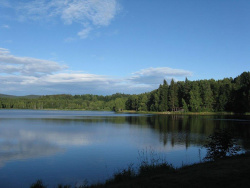 Křišťanovický rybník